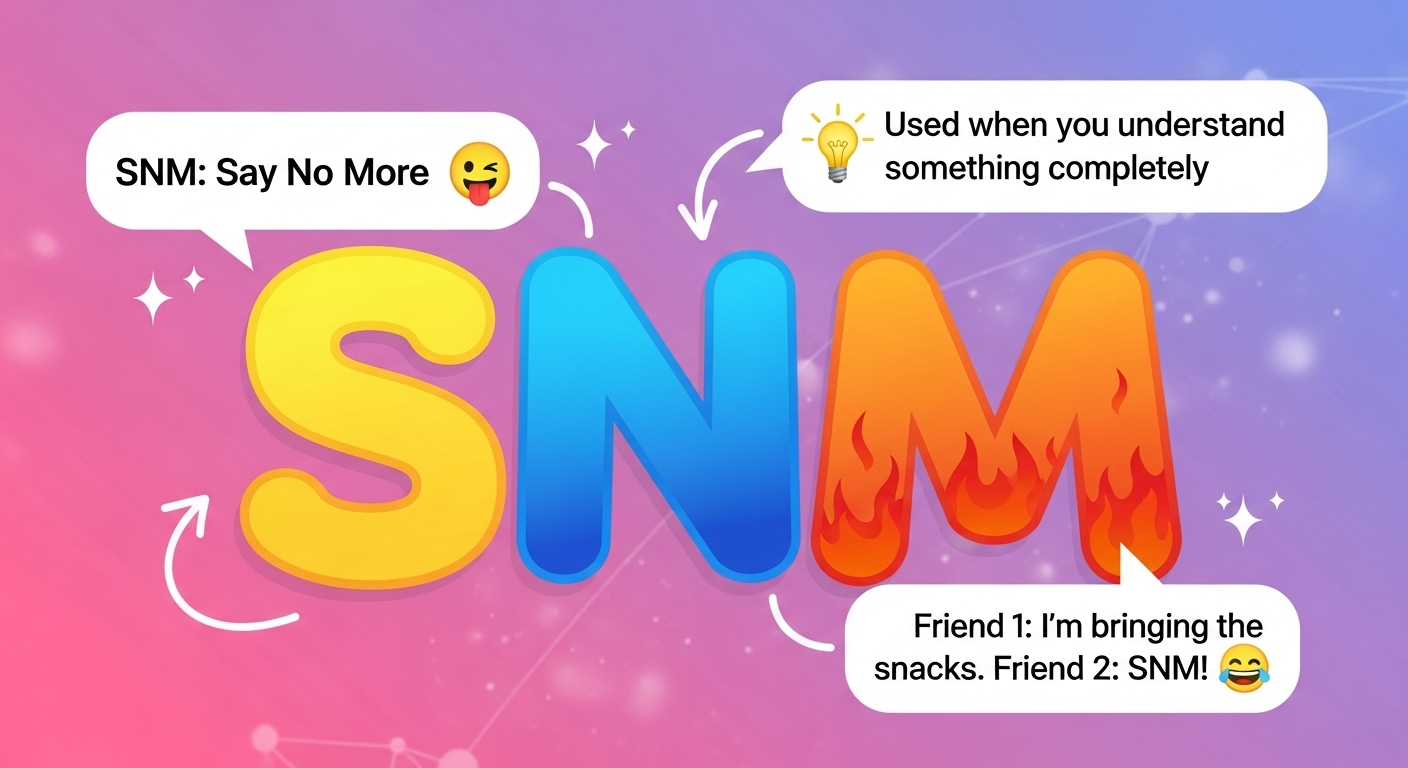 What Does SNM Meaning in Text